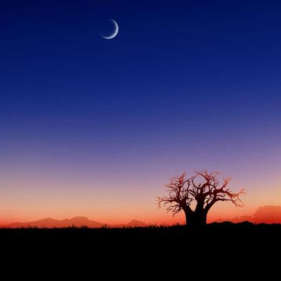 澳亚国际登录截图